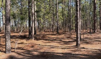 Fairview Road, Batesburg Leesville, SC 29006