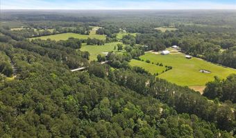 3350 SE Mount Pleasant Ln, Bogue Chitto, MS 39629