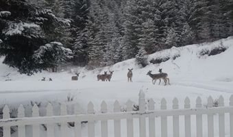 905 N Cedar View Dr, Blanchard, ID 83804
