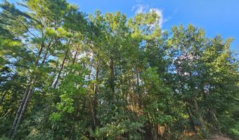 NHN Jordan River Dr, Bay St. Louis, MS 39520