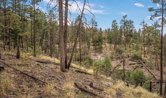 14 County Rd 2074, Alpine, AZ 85920