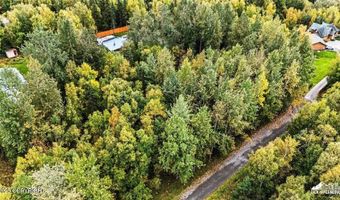 Lot 102 Nw Loc Sault Avenue, Anchorage, AK 99516