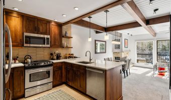 610 S West End St G204, Aspen, CO 81611
