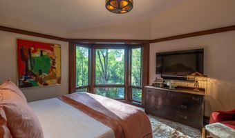 115 Neale Ave, Aspen, CO 81611