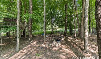 11121 Timberline Dr, Allendale, MI 49401