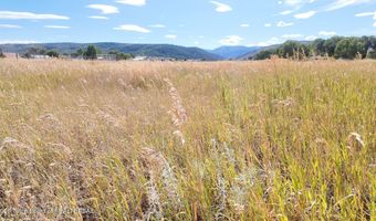 2 84 ACRES 3RD W St, Auburn, WY 83111