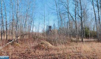 10478 Leander Rd, Angora, MN 55703
