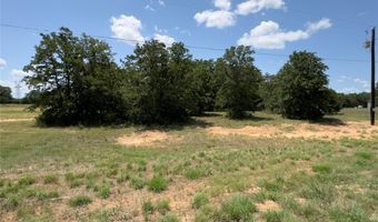 109 Coyote Cave Ln, Alvord, TX 76225