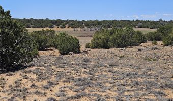 ACR N8388 and N8385, Concho, AZ 85924