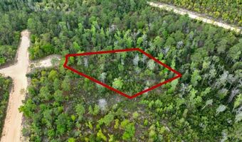 CASTLE CIRCLE, Alford, FL 32420