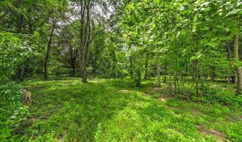 Stone Ridge Drive, Andersonville, TN 37705
