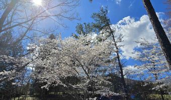 128 ROCKFISH ORCHARD Dr, Afton, VA 22920