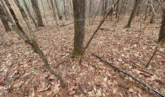SWEATT ROAD lot Tract C - 29+/- Acres, Ashville, AL 35953