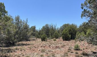 61 Colt Ct Se4 Rd, Ash Fork, AZ 86320