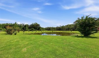 13525 PALM Dr, Astatula, FL 34705