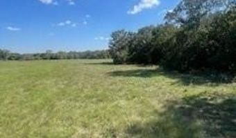 1959 S FM 1655, Alvord, TX 76225