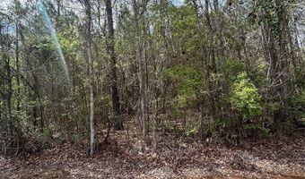 Crouch Road 2, Benton, LA 71006