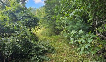97 Destination Dr, Asheville, NC 28806