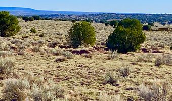 River Meadows Ranch Unit 3 Lot 204, Concho, AZ 85924