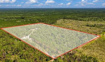 7000 NW 7th Way, Bell, FL 32619