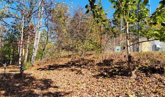 Lot 2 Tower Hill Rd, Appomattox, VA 24522