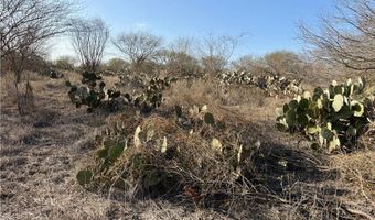 CR 119 lot 0, Alice, TX 78332