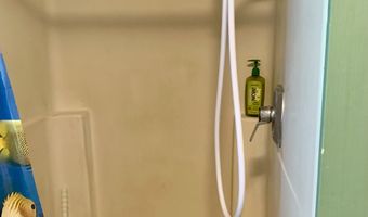 4580 OLD HOUSE CREEK Rd, Agness, OR 97406