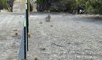 816 Hamilton Stage Rd, Elko, NV 89801