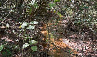 4496 State Hwy 130, Banks, AL 36005