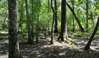 Highway 112, Abbeville, GA 31001