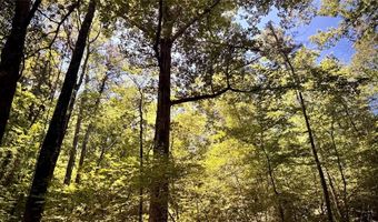 000 William Colvin Rd, Bernice, LA 71222