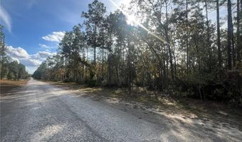 Tbd NE 93RD TERRACE, Archer, FL 32618