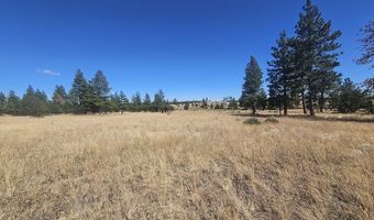 67 TIMBER Ln, Bickleton, WA 99322