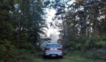 4889 NW Willow Grove Hwy Lot #2, Allons, TN 38541