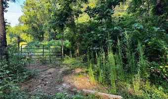 Parcel 3 WARD LINE Road lot Par 3, Bogalusa, LA 70427