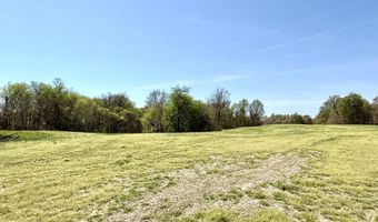 378 County Road 1219, Bardwell, KY 42023