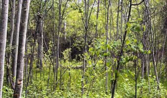 504 Carmen Creek Rd, Carmen, ID 83462