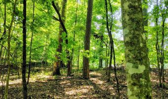 138 Stooksbury Ln, Andersonville, TN 37705