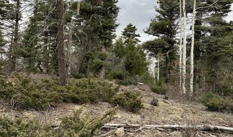 Lots 16 Lot17 Palo Flechado Ridge Road, Angel Fire, NM 87710