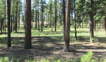 8 County Road 2194, Alpine, AZ 85920