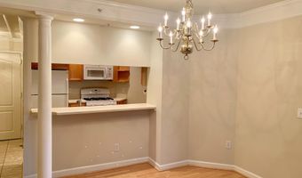 901 N MONROE St 203, Arlington, VA 22201