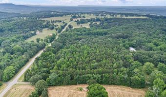 21830 N State Highway 307, Belleville, AR 72824