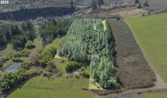 Three Trees Ln, Amity, OR 97101