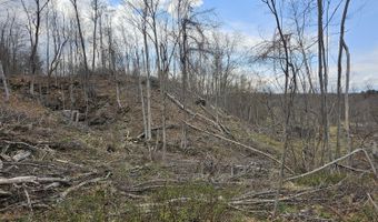 295 Shellstone Rd, Amsterdam, NY 12010