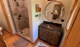 209 Deer Path Ln, Almont, CO 81230