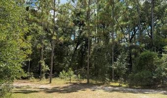 4850 NW 55th Ave, Bell, FL 32619