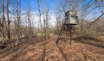 000 Hwy 105, Atkins, AR 72823