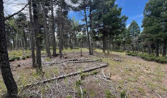 S Vail Overlook lot 310, Angel Fire, NM 87710