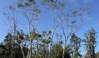 75-1306 KEOPU MAUKA Dr, Holualoa, HI 96725
