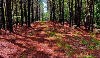 Arthur Drive, Brookhaven, MS 39601